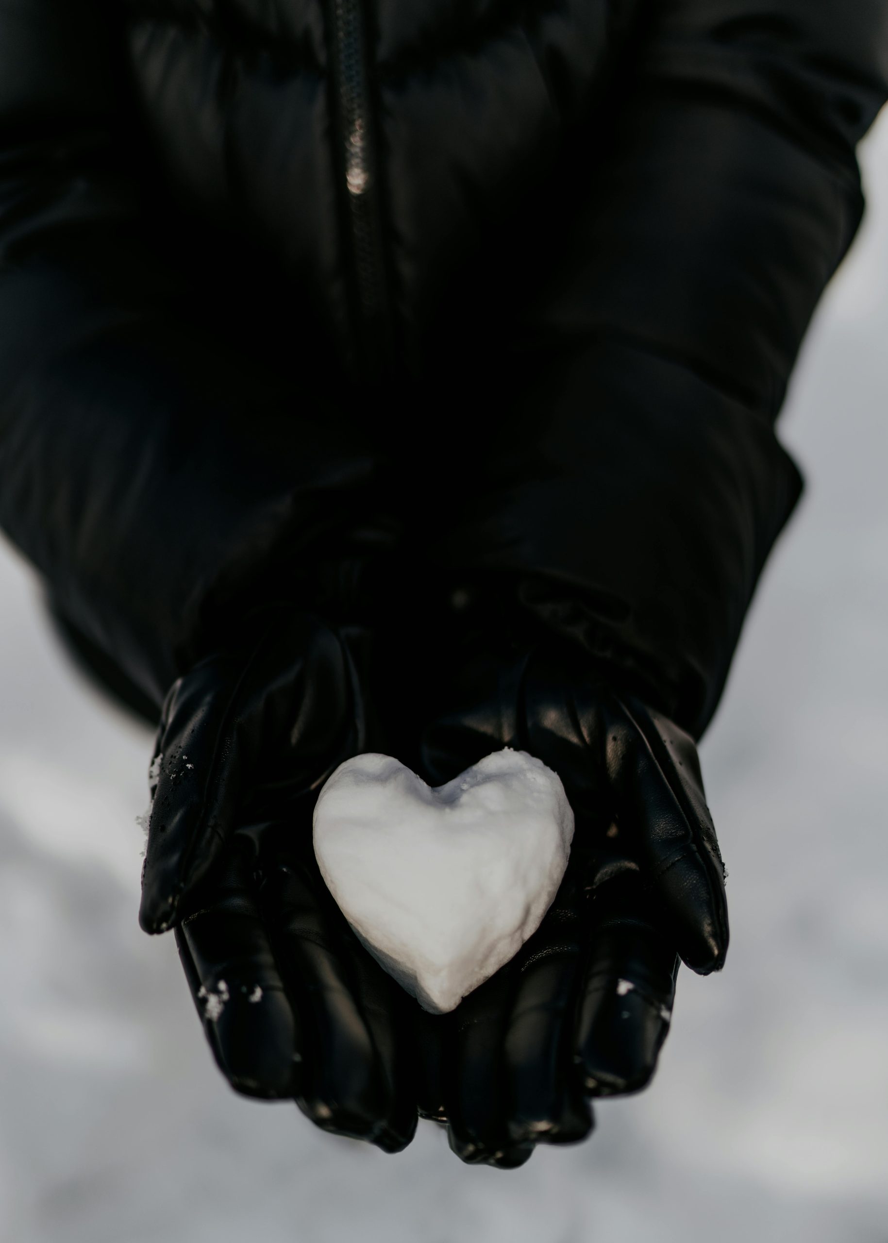 cuore bianco su mani nere